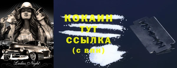 шишки Бородино