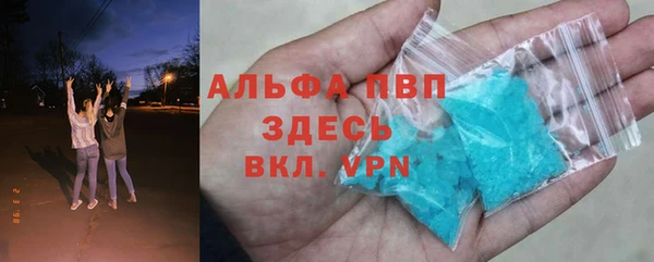 шишки Бородино