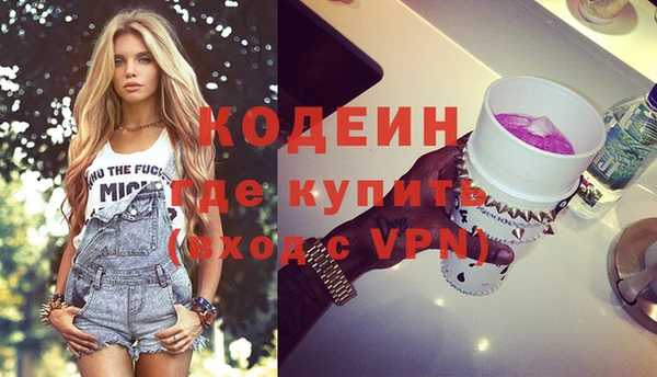шишки Бородино