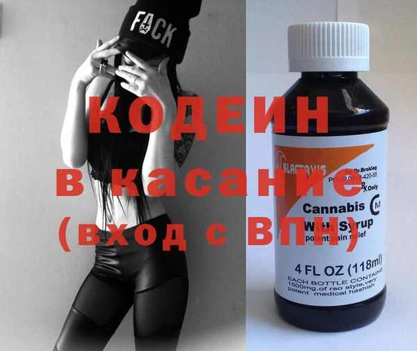шишки Бородино
