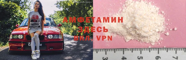 шишки Бородино
