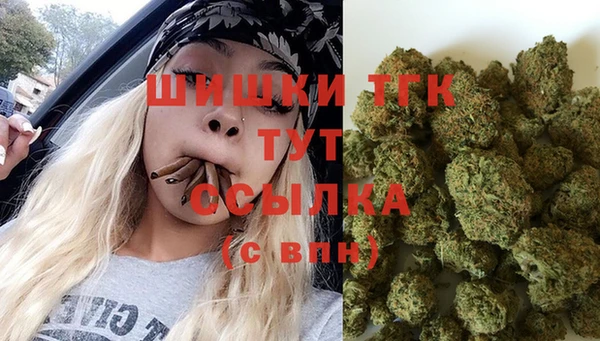шишки Бородино