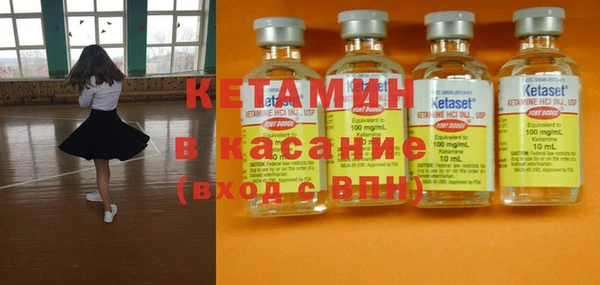шишки Бородино