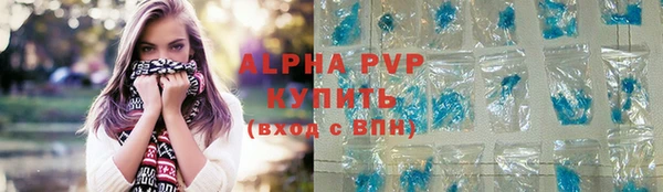 шишки Бородино