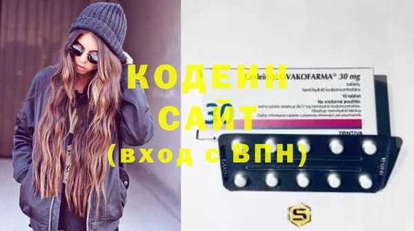 шишки Бородино