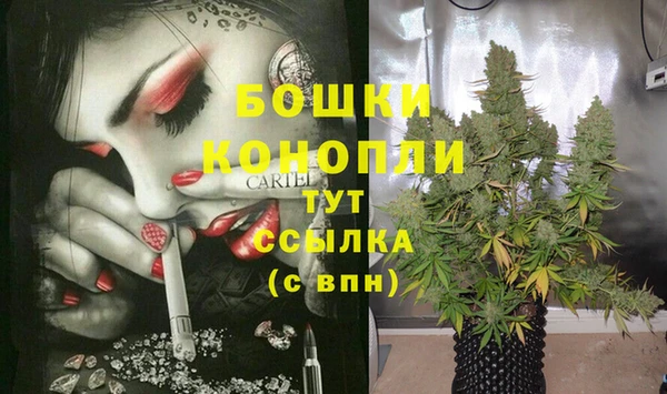 шишки Бородино